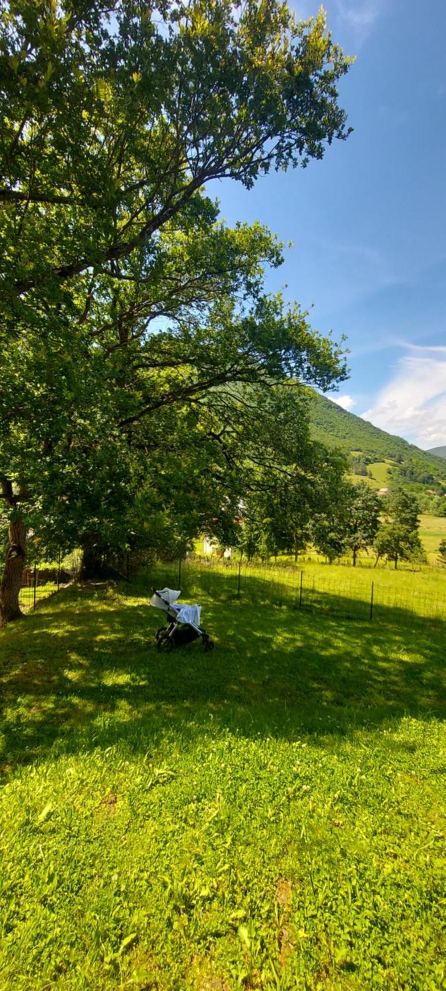 Sole Tiny House Daire Sipovo Dış mekan fotoğraf